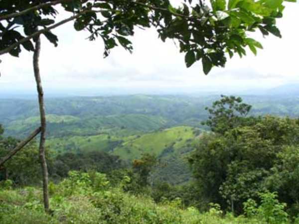Cerros de Amotape