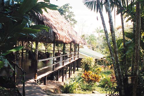 Ceiba Tops, ambiente con hamacas
